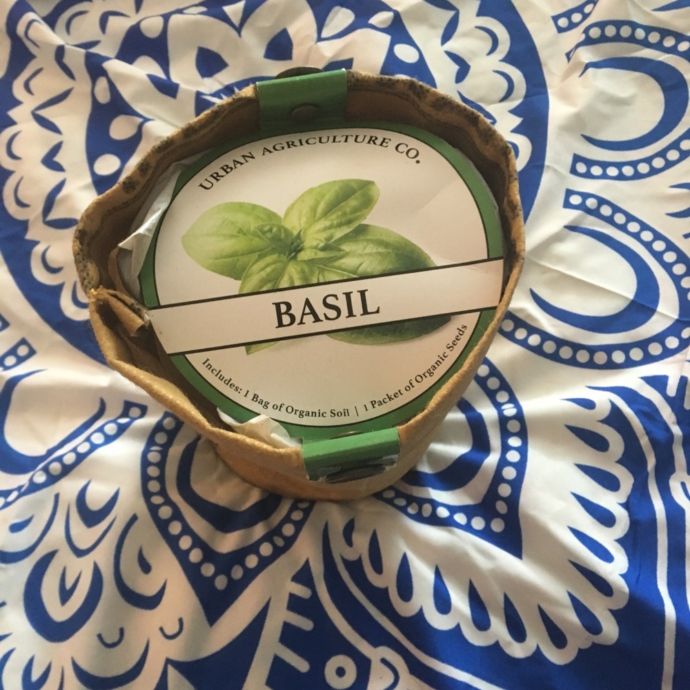 Grow your own basil!